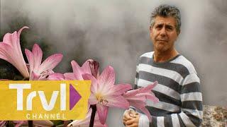 Geothermal Cooking in the Azores | Anthony Bourdain: No Reservations | Travel Channel