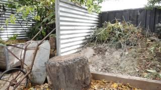 Lee Adams Garden Design - Sustainable Gardens