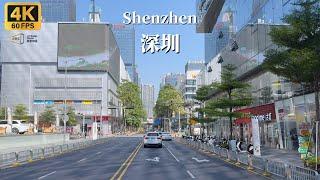 Shenzhen Driving Tour - China's Youngest First-tier City - 4K