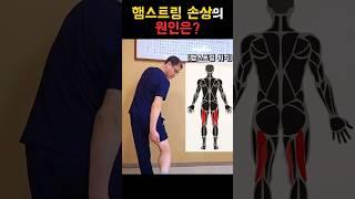 햄스트링 부상이 자주 나는 이유는?