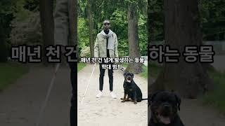 지금 당신은 믿기 힘든 장면을 마주하고 있습니다