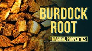 Burdock Root Magical Properties