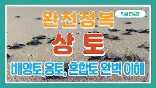 상토 완전정복 - 아무도 얘기하지 않은 상토 이야기. 상토 배양토 용토 배합토 혼합토 이게 다 무슨 뜻이야? 분갈이 흙 완전히 파헤치기