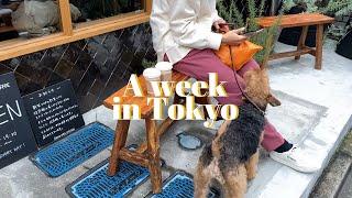 Tokyo Vlog | A week in my life living in Tokyo, Japan. teleworking, living alone, aesthetic cafes