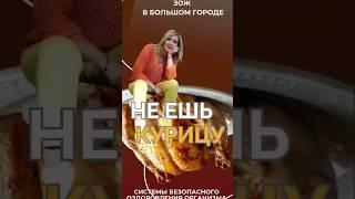 Не ешь курицу #FitLine