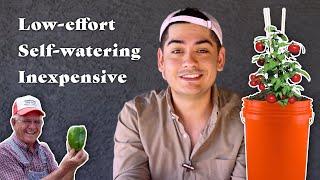 The Basics of Sub-Irrigated Planter Gardening