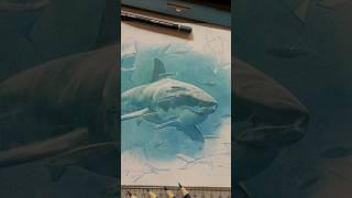 Рисование акулы цветными карандашами l Мастерская VISTA-ARTISTA
