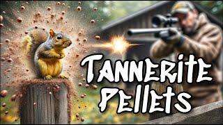 Squirrel Hunting with Tannerite... Explosive Shots You Won't Believe!