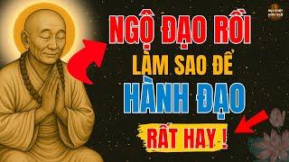 Lục Tổ Huệ Năng - Hướng Dẫn NGỘ ĐẠO Rồi - Nhưng Làm Sao Để HÀNH ĐẠO - Học Phật Giác Ngộ !