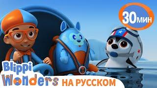 Учимся Летать с Пингвинами  | Обучающие мультки для детей | Blippi Russian