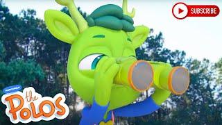 Black Bear Surprise | Adventure Learning | MarcoPolo World School | Learn At Home