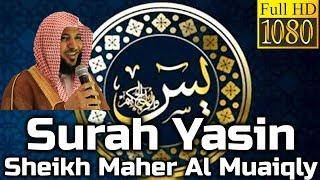 Surah Yasin Full سورة يس: Sheikh Maher Al Muaiqly ماهر المعيقلي - English Translation