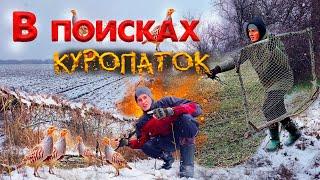 ПОГОНЯ за КУРОПАТКАМИ по СНЕГУ! Перевёз ловушки на новое место.