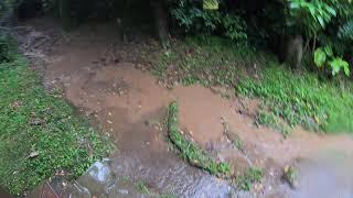 下雨中大屯山連峰O型 大屯山西峰南峰好刺激 如遇雷雨難度翻倍