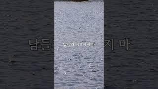 늦었다고 느낄 때 필요한 한마디  #명언 #삶의지혜 # #멋진글귀 #좋은글 #긍정의말