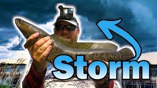 Chasing SNAKEHEADS Before the Storm | Did the Weather KILL the Fishing? |