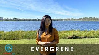 Evergrene, Palm Beach Gardens, Florida - A Tour of Community