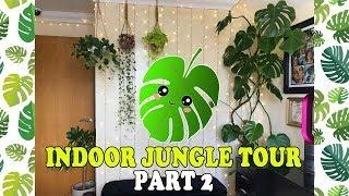 Welcome to the Jungle! Indoor Jungle Tour UK PART 2