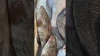 Fish market.    #imambasha_vlogs.                #fish #sharq.