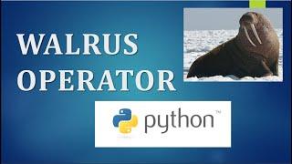 What is the Walrus Operator? | Python 3.8