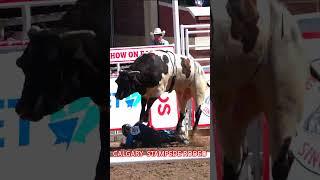 Calgary Stampede Rodeo 2024 - Day 1 ( 07/05/24 )