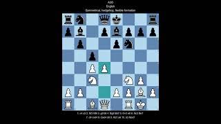 ECO A30 English, Symmetrical, hedgehog, flexible formation (White perspective)