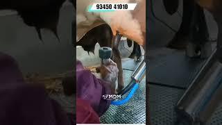 Best Milking Machines for Dairy Farmers | Efficient & Hygienic Milking 