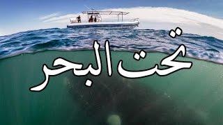 قصص بوليسية : تحت البحر ( كـاملة ) !!