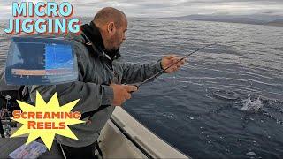 Light Blue Pursuits #5: Fish Like a BOSS with Micro Jigging: Make Your Fishing Reel SCREAM!