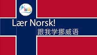 【跟我学挪威语 Lær Norsk!】（双语跟读）第14单元：问路/Spørre etter veien;方向/Orientering; 环城一游/Sightseeing i byen【HQ】#挪威话