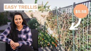 How I Made An Easy And Cheap Trellis In My Small Garden Under 6 Dollars