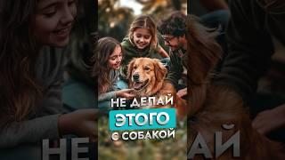 7 ОПАСНЫХ ошибок при Общении с Собакой | Советы кинолога | ЛавГав