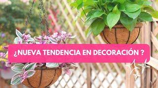 Decorar con macetas colgantes de fibra de coco | Nueva tendencia 