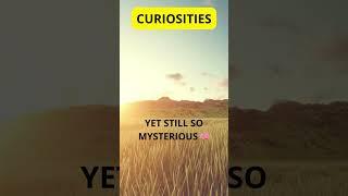 Curiosites