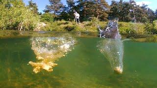 Тест прикормки ПОД ВОДОЙ! Как ПРАВИЛЬНО прикармливать и как растворяются шары прикормки?