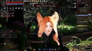 Стелс мистик изи фарм (Tamer) | BDO