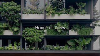 House of Trees | L Architects