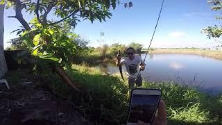 Snakehead fishing Philippines (rod-reel eupro) lure F005