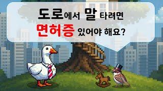 도로에서 말 타려면 면허증 있어야 해요?