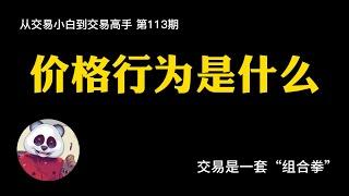 【第113期】价格行为是什么