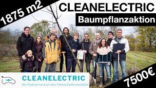 1875m2 Wald - CLEANELECTRIC Baumpflanzaktion