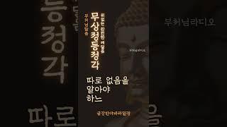 무상정등정각 | 위없는 완전한 깨달음 | 금강경 | 부처님말씀 | 명상의말씀
