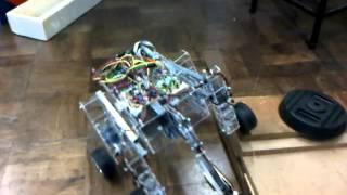 Nishant Mistry Shrimp Uneven surface test