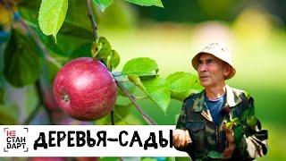 Деревья-сады // Нестандарт / Серия 5