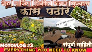 Kas Pathar Satara 2024 | Best Time To Visit | Full Information | हा व्हिडिओ पाहिल्याशिवाय जाऊ नका