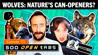 Raven Wolf Friendships and Tipu's Tiger - 500 Open Tabs Episode 70