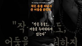 부처님오신날 | 작은 등불 하나가 큰 어둠을 밝힌다 | 마음치유영상 | 명상의말씀 | 명언모음 | 부처님말씀