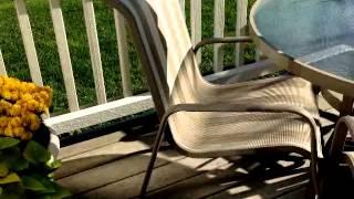 12723 Eagle Ridge Sun City Huntley IL Interior BY Tony Delisi Huntley Realty
