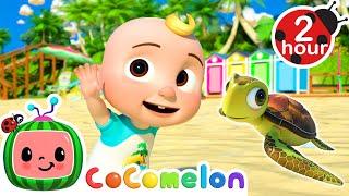 Let's Learn Sea Animals! | Cocomelon | Moonbug Kids - Fun Zone