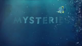 Starting 2 June | Wild Oceans | National Geographic MENA